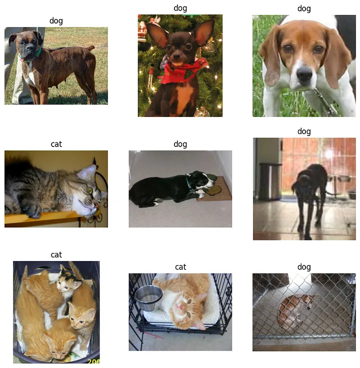 使用TensorFlow和Keras创建猫狗图片深度学习分类器