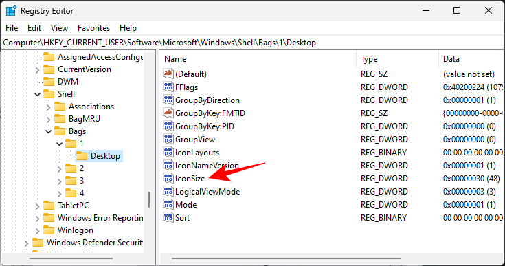 如何在 Windows 11 上缩小图标