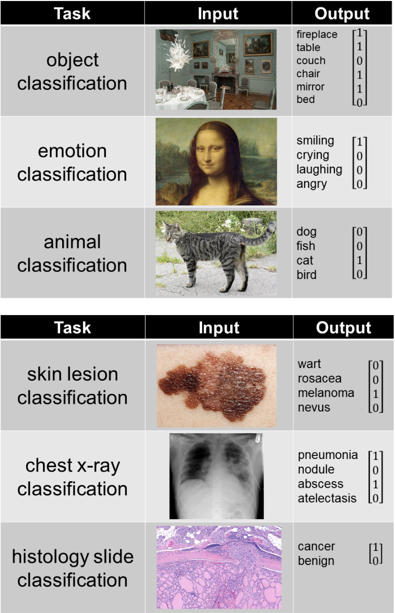 深度学习架构的对比分析