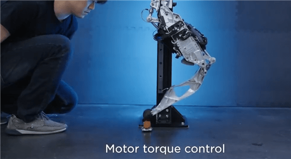 马斯克秀肌肉！特斯拉擎天柱机器人最新酷炫演示：AI大提升、行走更自然