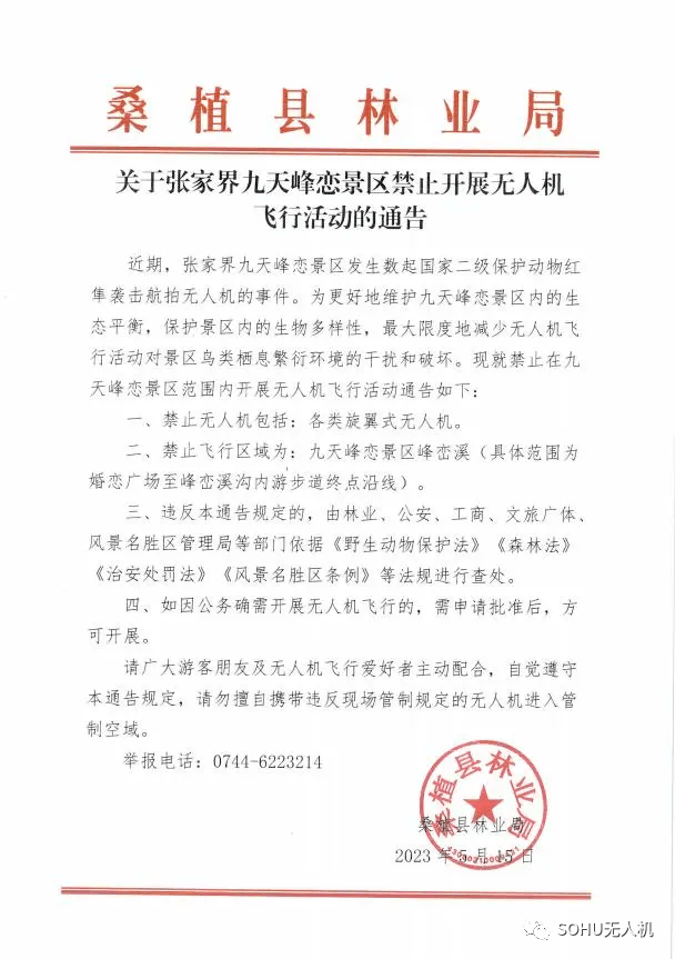 张家界网红老鹰再抓无人机！景区：已发禁飞通告