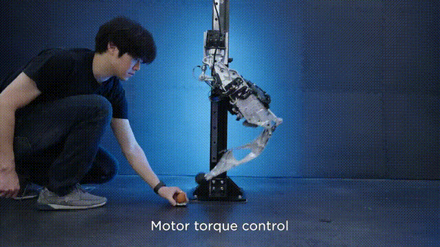 一大波特斯拉人形机器人上线，马斯克震撼官宣2款新车！