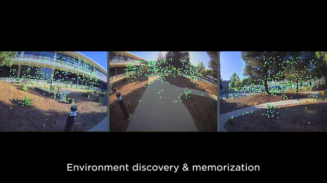一大波特斯拉人形机器人上线，马斯克震撼官宣2款新车！