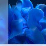 如何使用附近共享将文本从Windows PC共享到Android