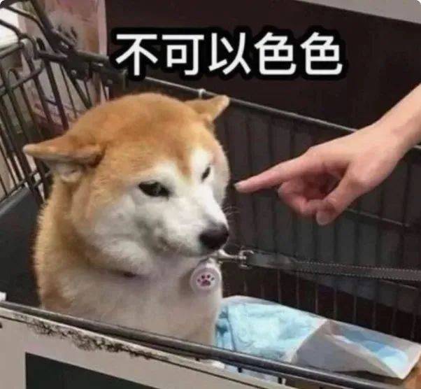 23岁网红用AI分身交1000男友！月入500万美元，谈恋爱按分钟计费