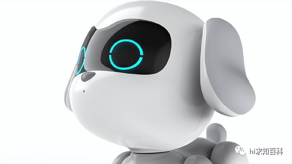 极端天气和自然灾害，AI如何“先知先觉”？