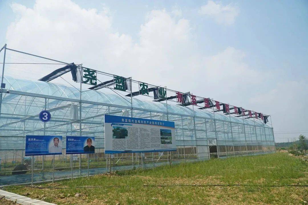 池州这个种植基地运用5G物联网技术一人能管一千亩地!