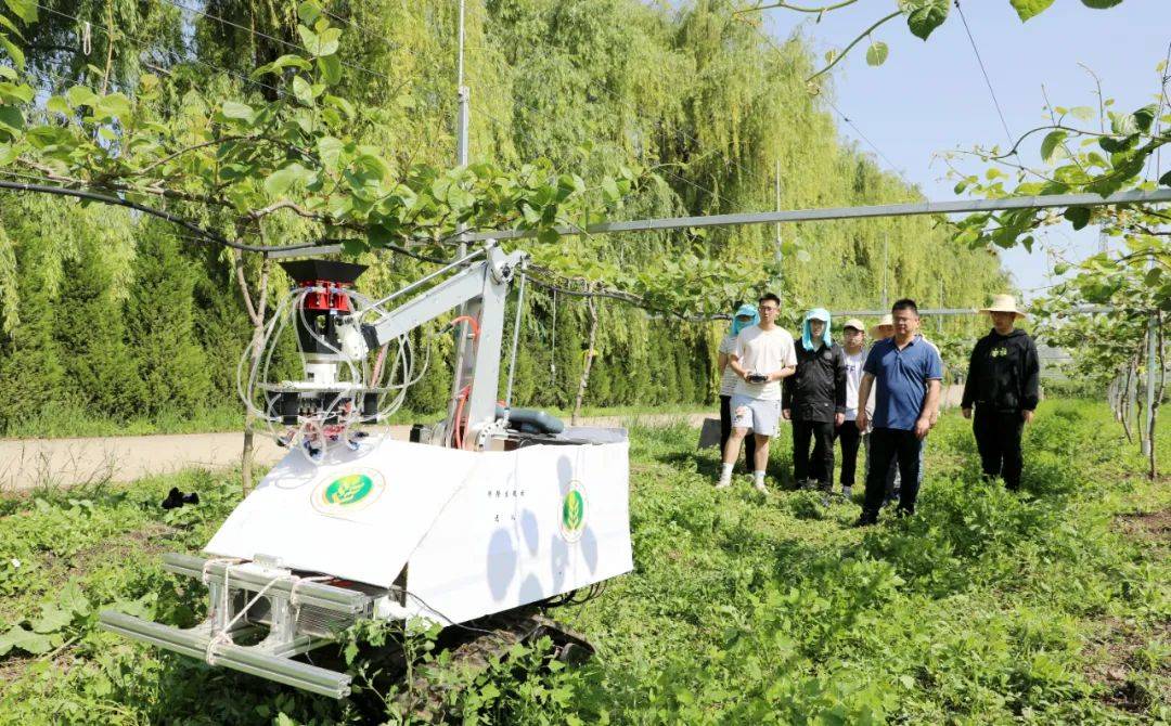 授粉机长“鹰眼”，西农大这台猕猴桃机器人真厉害！
