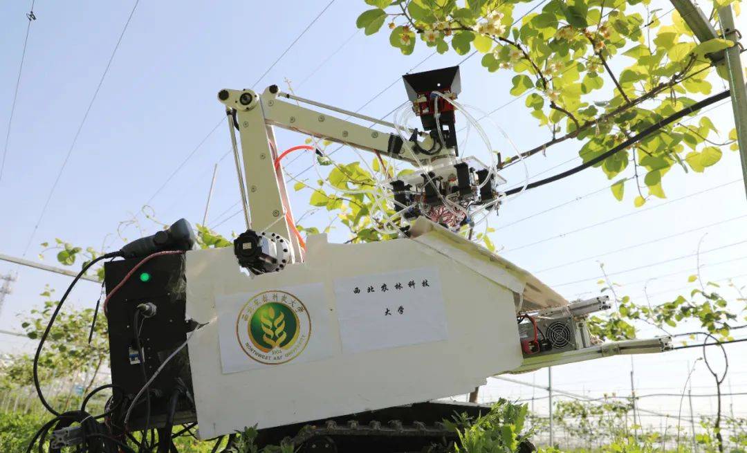 授粉机长“鹰眼”，西农大这台猕猴桃机器人真厉害！