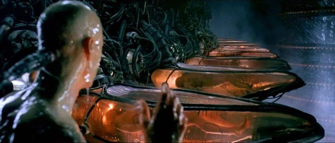 AI会消灭人类吗？有可能，但需要人类的配合