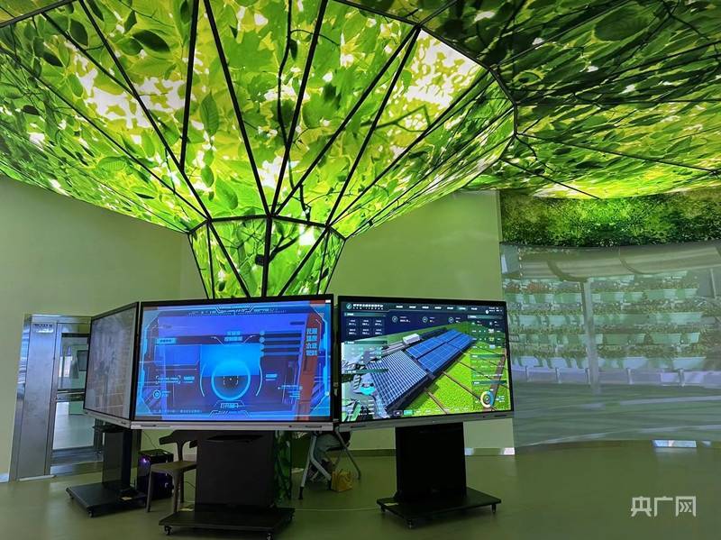 南昌红谷滩区:“元宇宙”种菜 数字赋能织出乡村振兴“智富梦”