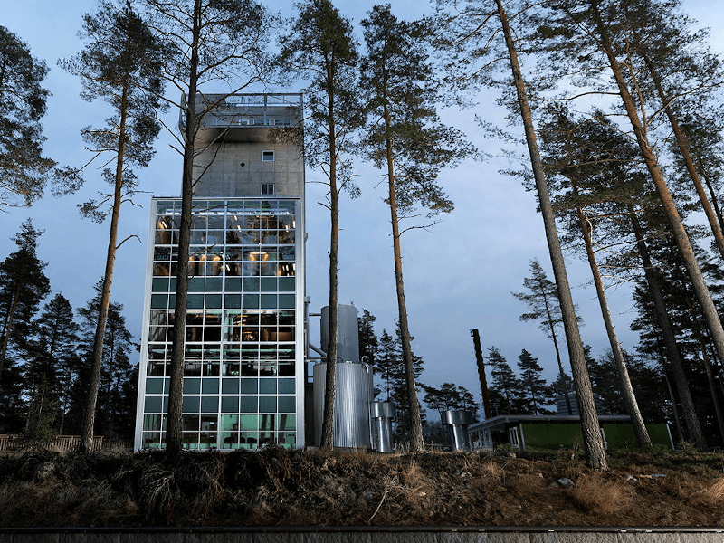 AI威士忌再出发,AI能替人做些什么