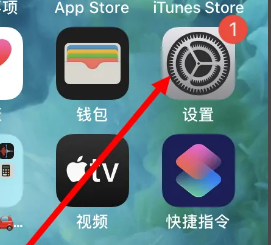苹果浏览器禁止访问网站怎么取消