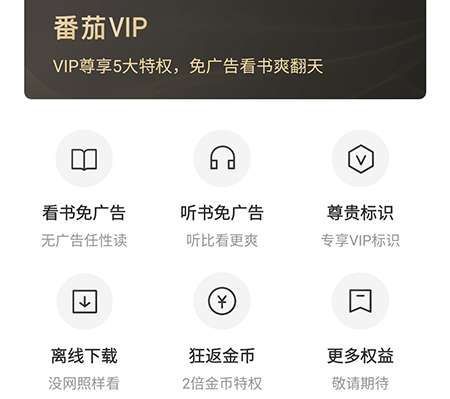 番茄小说怎么白嫖vip