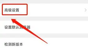 猎豹浏览器怎么调整字体大小