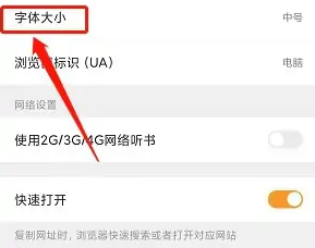 猎豹浏览器怎么调整字体大小
