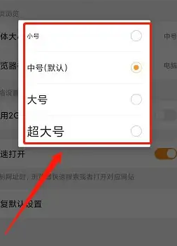 猎豹浏览器怎么调整字体大小