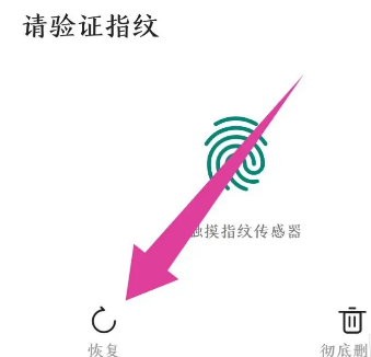 时光相册怎么恢复删除的照片 时光相册怎么恢复删除的照片