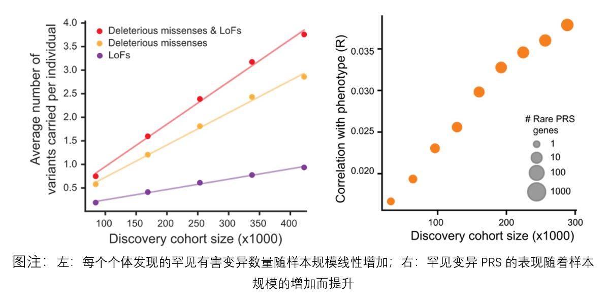 从“最罕见变异”中找到“最易患病个体”，AI精准预测基因变异致病性