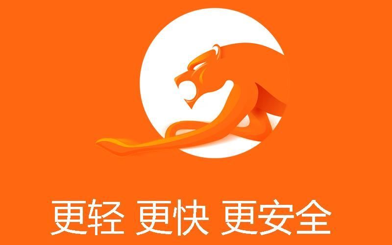 猎豹浏览器怎么安装插件