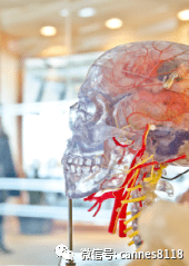 脑机接口站上风口,炒概念?还是真的有料?