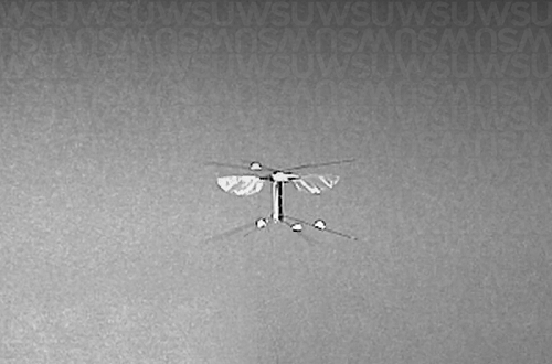 仿生机械昆虫成真！蜜蜂无人机重量不到0.1克