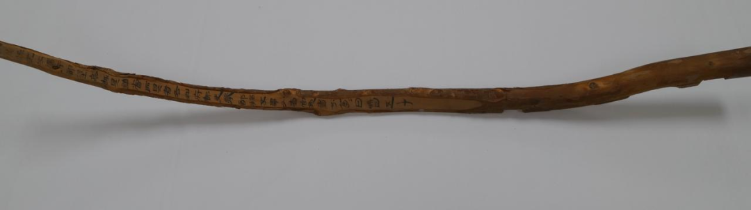 让文物“活”起来,火山引擎视频云三维重建技术揭秘