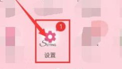 vivo浏览器怎么关闭安全网址检测