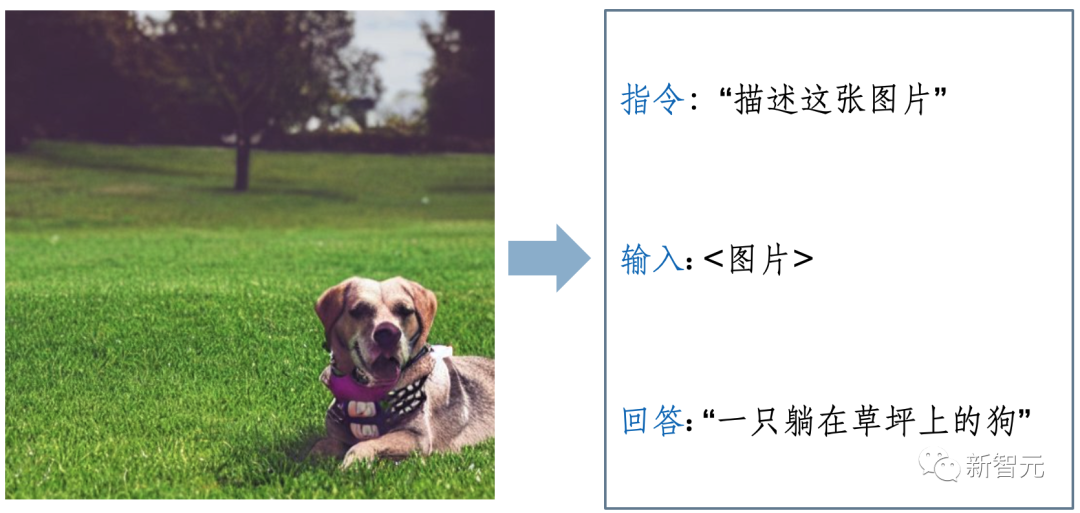 「多模态LLM」最新介绍！数据、论文集直接打包带走