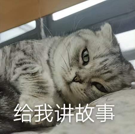 当AI住进智能音箱，我拥有了一位情绪稳定的话痨朋友