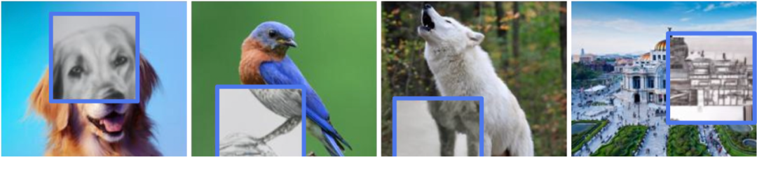 LeCun世界模型首项研究来了：自监督视觉，像人一样学习和推理，已开源