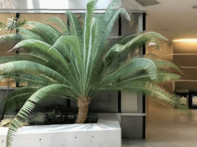 自己动手使用AI技术实现数字内容生产