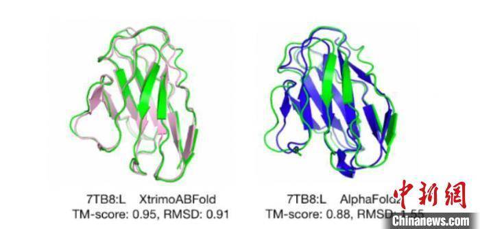 利用AI探索抗体“钥匙”、加速药物研发——访百图生科团队