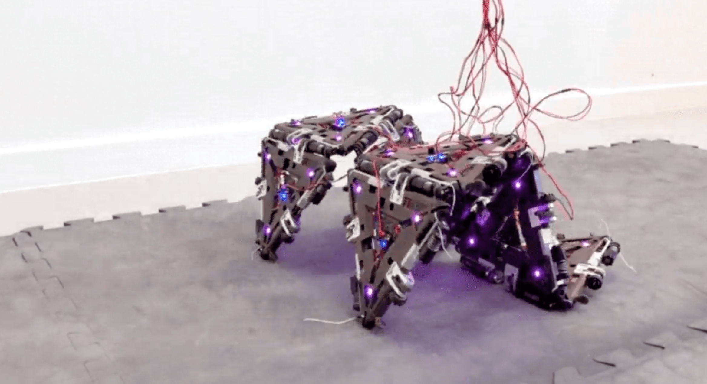 这种变形机器人可以帮助宇航员在月球上运送物体