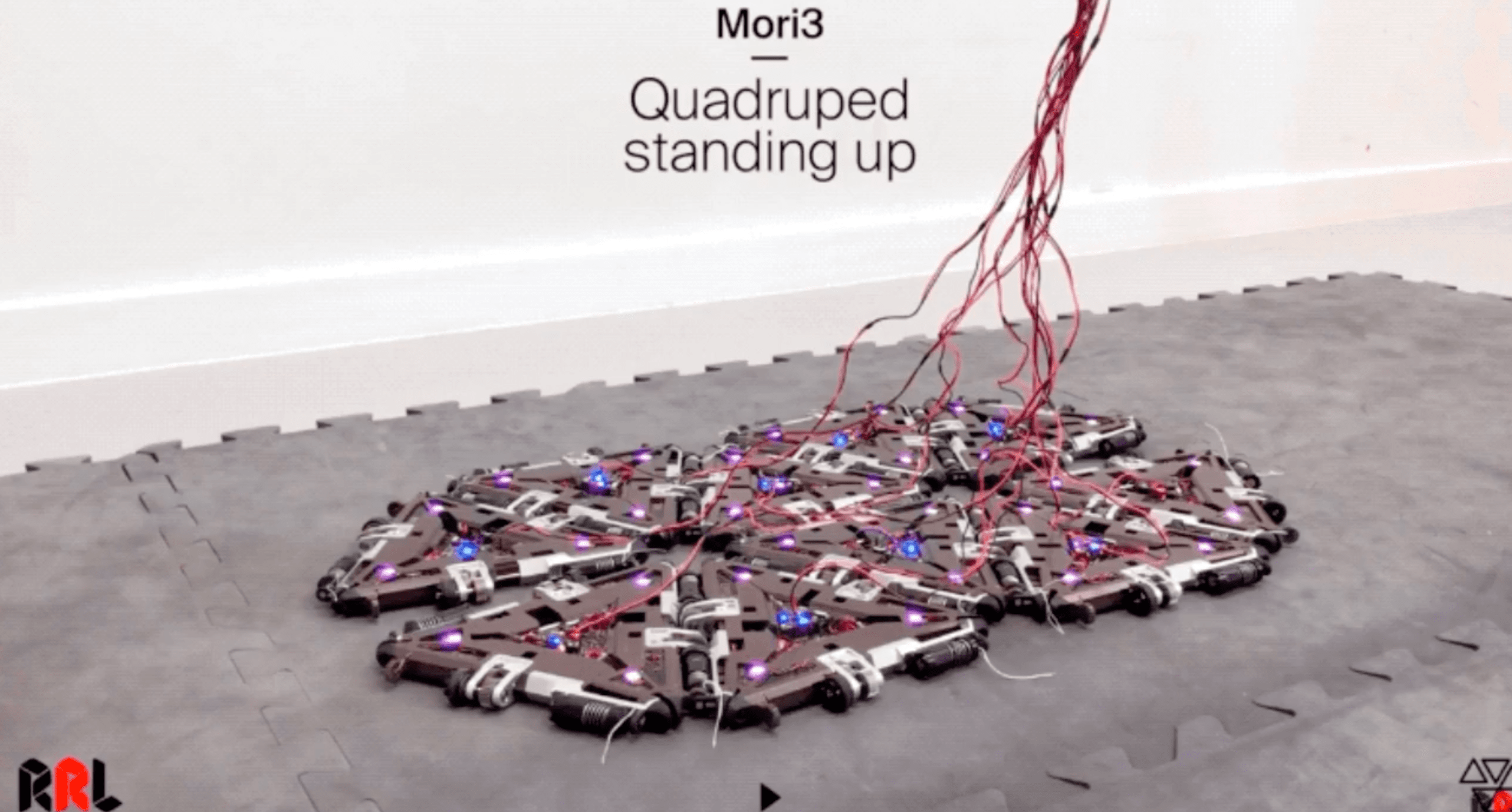 这种变形机器人可以帮助宇航员在月球上运送物体