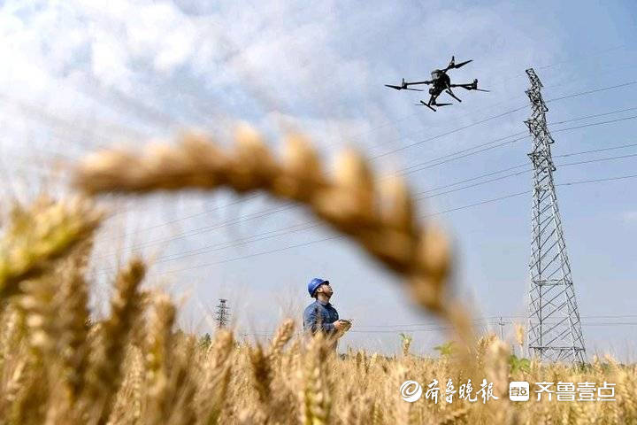 “三夏”农忙保障用电，无人机高空巡视高压线