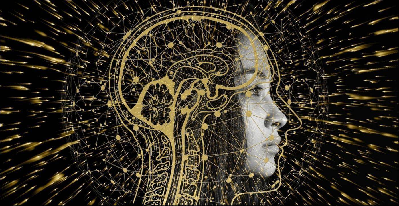 AI下一步已明确，黄仁勋预测的方向，特斯拉和OpenAI疯狂追赶