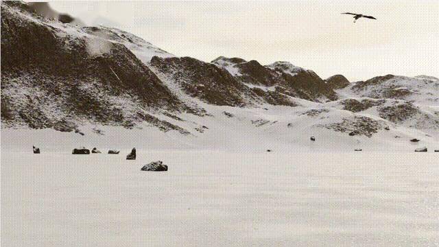 普林斯顿大学推出 Infinigen AI 模型,生成真实自然环境 3D 场景