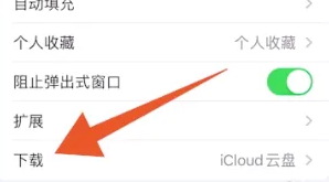 safari浏览器下载的文件怎么找