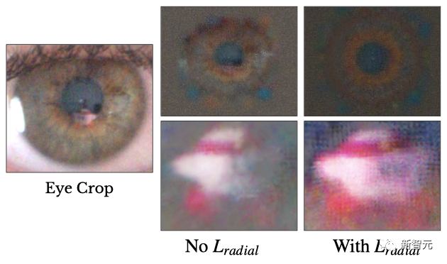 眼球反射解锁3D世界，黑镜成真！马里兰华人新作炸翻科幻迷