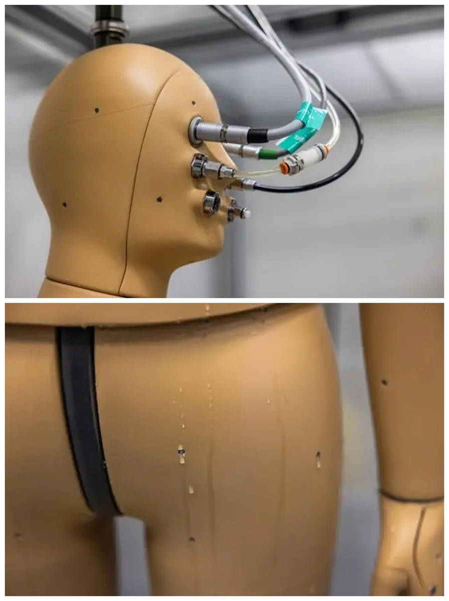 陈根：会“呼吸、出汗、发抖”的机器人诞生了