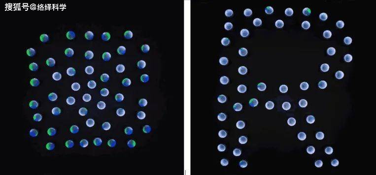 西湖大学赵世钰最新成果：基于均值偏移的机器人集群队形控制策略