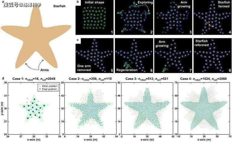 西湖大学赵世钰最新成果：基于均值偏移的机器人集群队形控制策略