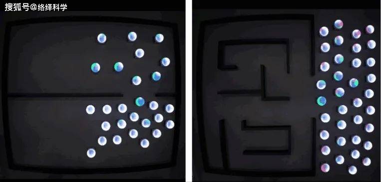 西湖大学赵世钰最新成果：基于均值偏移的机器人集群队形控制策略