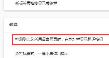 小白浏览器怎么开启自动翻译功能 小白浏览器怎么开启自动翻译功能