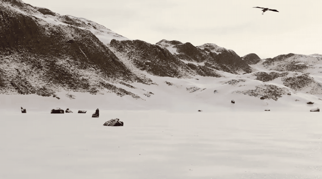 零AI含量！纯随机数学无限生成逼真3D世界火了，普林斯顿华人一作