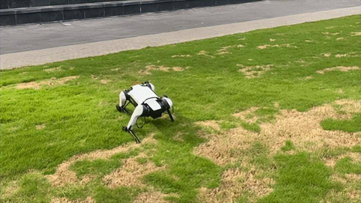 国产机器人最新突破,这次用上AI了!