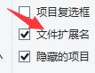 Win11显示文件属性后缀的方法？
