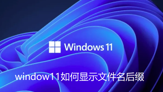 Win11显示文件属性后缀的方法？