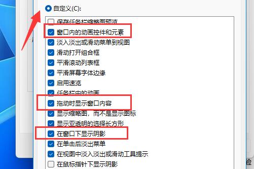 如何设置Win11窗口动画？